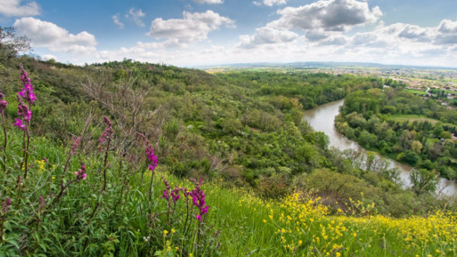 Réserve naturelle de la Confluence Garonne Ariège J'agis pour la nature